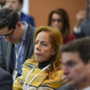 06-8oCongresso-24-9-sigilo-no-processo-059